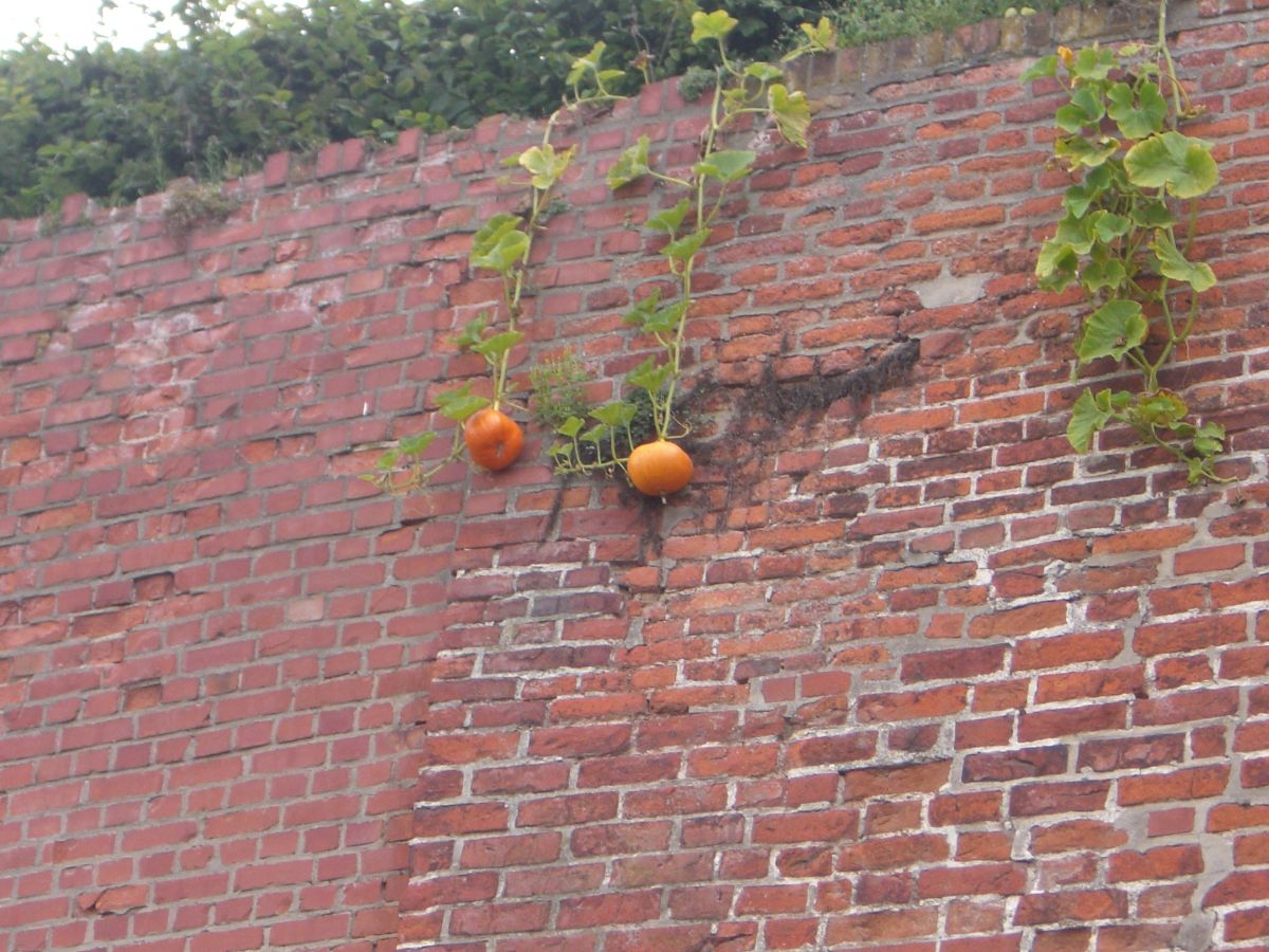 ReiseAug07-071.jpg