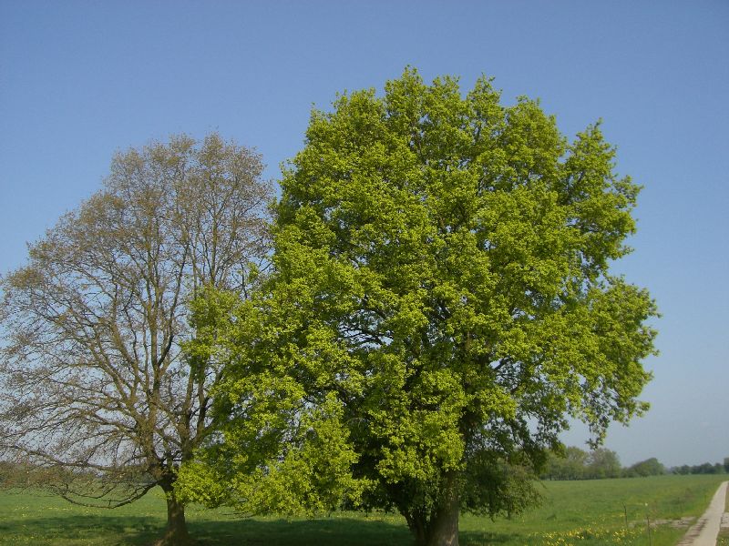krak08-1086.jpg