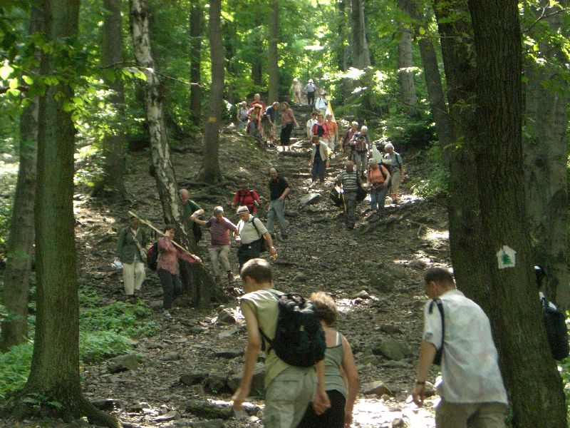 krak08-2015.jpg