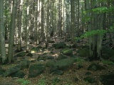 krak08-2127.jpg