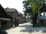 krak08-3081.jpg