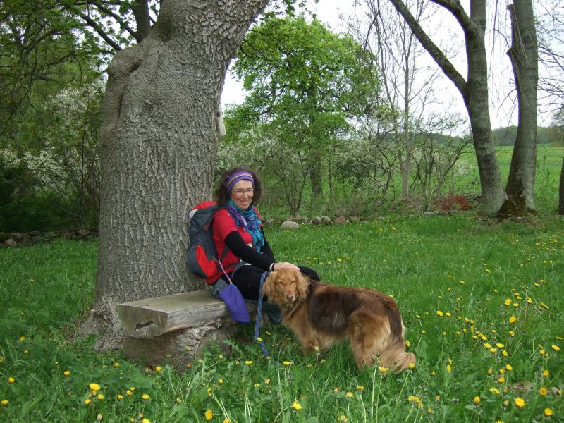 Brigitta-Fahrt259.jpg
