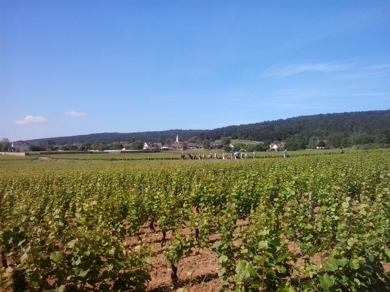 Dijon-Cluny0023.jpg