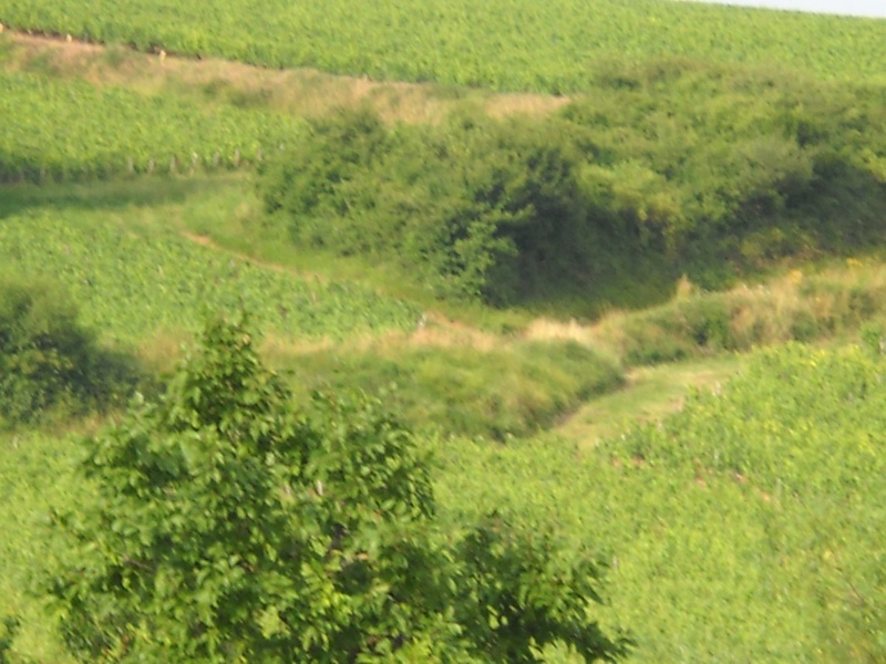 Dijon-Cluny0105.jpg