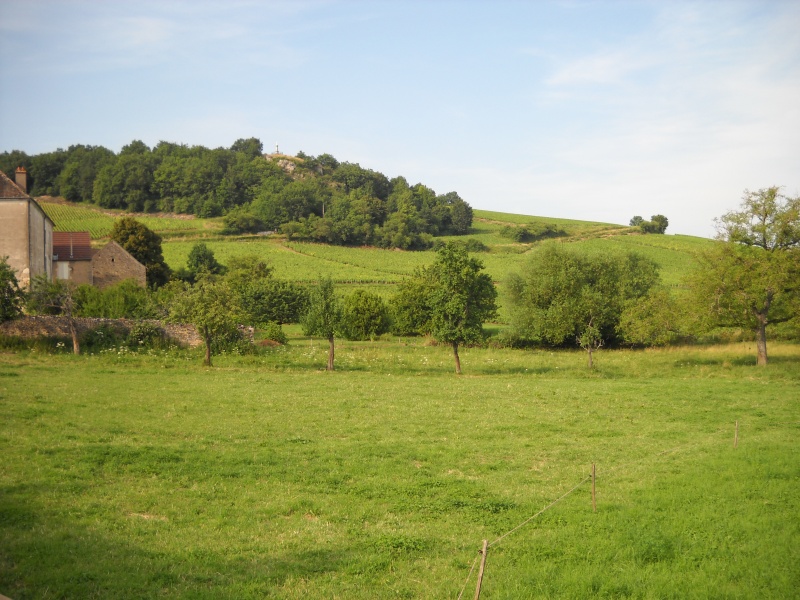 Dijon-Cluny0106.jpg