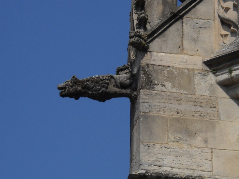 Dijon-Cluny0111.jpg