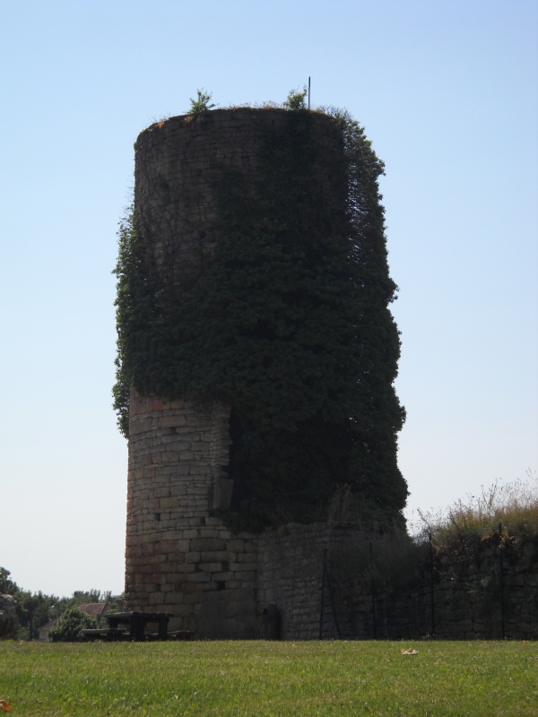 Dijon-Cluny0121.jpg
