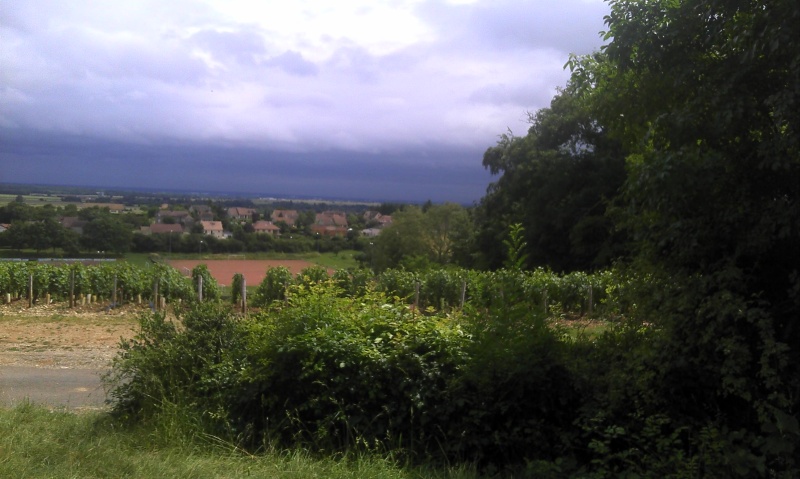 Dijon-Cluny0131.jpg