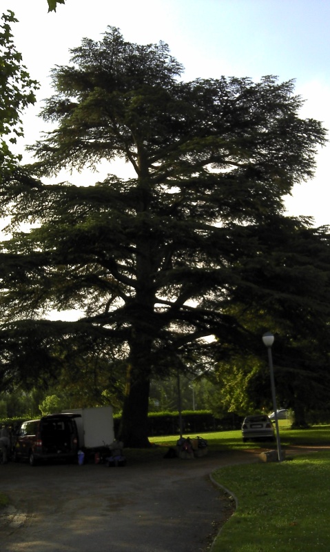 Dijon-Cluny0135.jpg