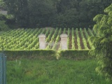 Dijon-Cluny0068.jpg