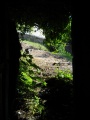 Dijon-Cluny0118.jpg