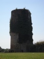 Dijon-Cluny0121.jpg