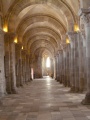 Dijon-Cluny0124.jpg