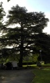 Dijon-Cluny0135.jpg